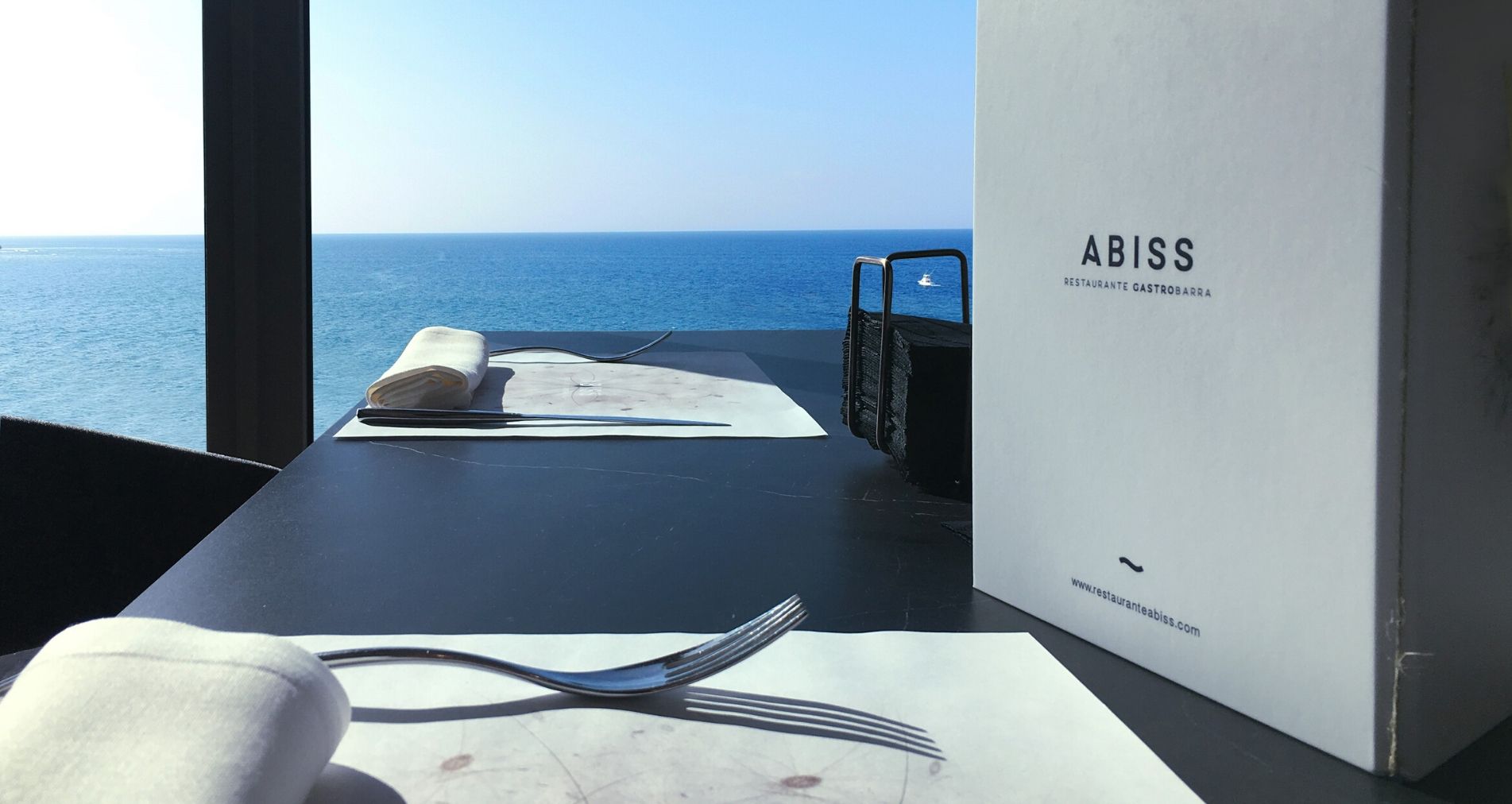 SECCIÓN WEB ABISS (2)